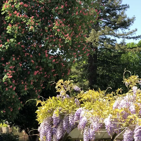 Bed and breakfast La Rochette Forges-les-Bains