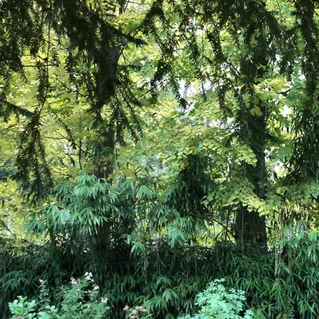 Bed & Breakfast La Rochette Forges-les-Bains