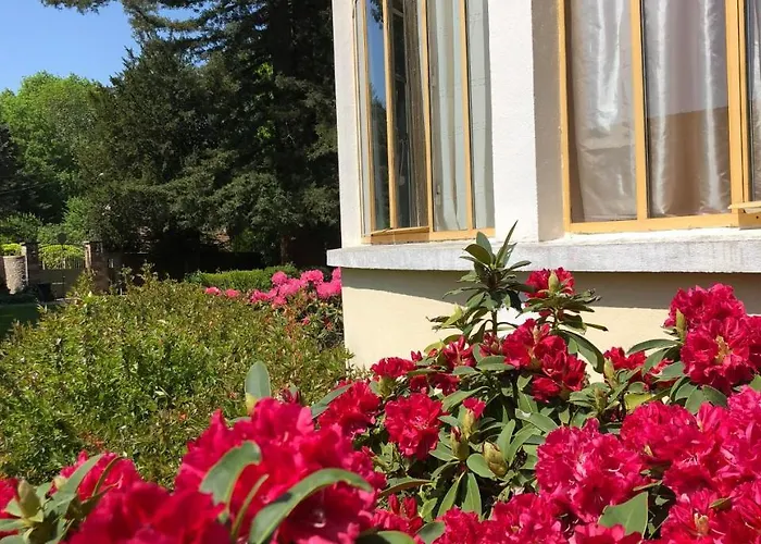 La Rochette Couette-café Forges-les-Bains