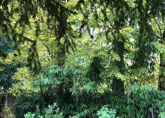 Couette-café La Rochette Forges-les-Bains