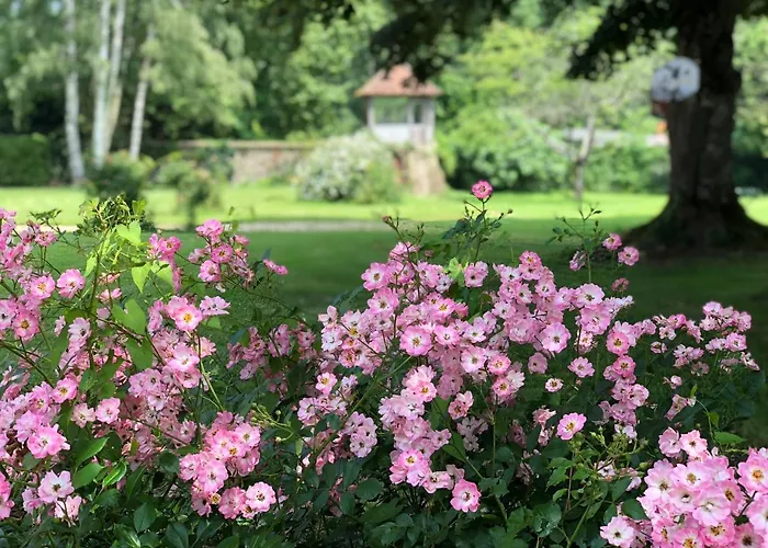 La Rochette Bed & Breakfast